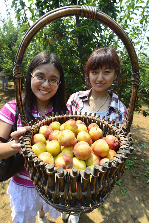 715գλԱοضһҲժ԰չʾժӡ