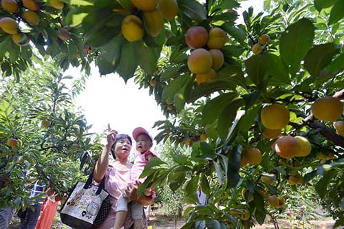 715գοضһҲժ԰ժӡ