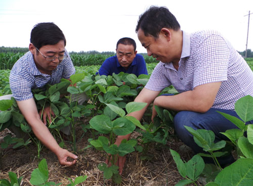 ����򣶫�������ﳤ��ϲ��