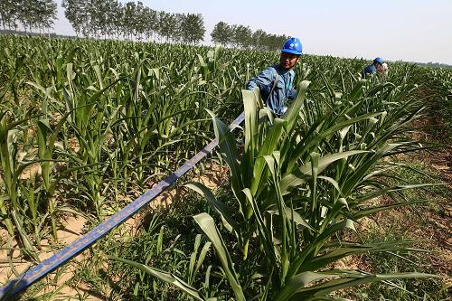 719գɽΫְЭΫںӽֵ𲺴ס