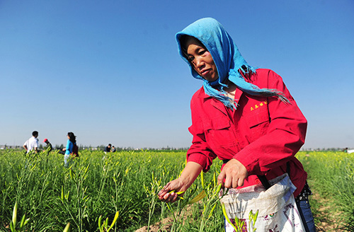 717գĻγػݰ壬ũժƻˡ