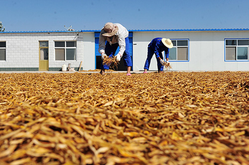 717գĻγػݰ壬ũɹƻˡ