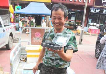 ����ݮ���������ջ��� ������������