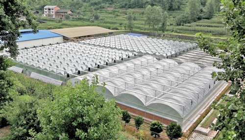 现代化的重庆石柱县辣椒科技园