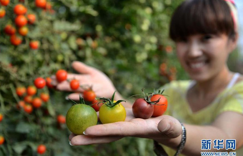 �ӱ�ʡ�����ء������߲ˡ�ϲ����2