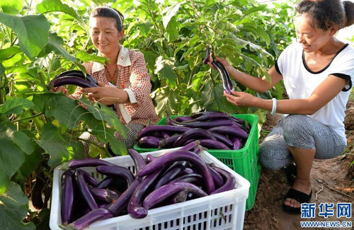 �ӱ�ʡ�����ء������߲ˡ�ϲ����3