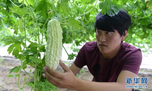 �����ɹ�����̨�������