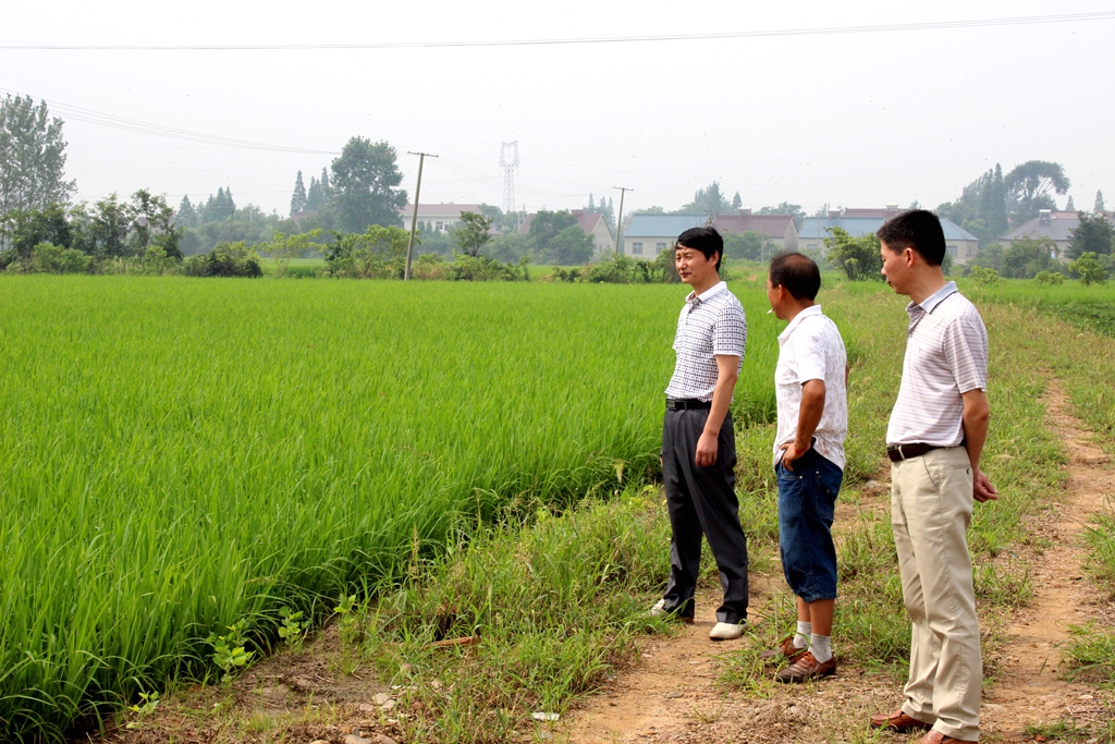 ���չ����ˮ���������Ȳ���չ