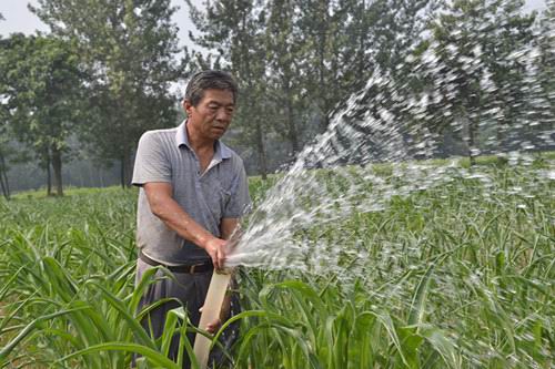 �����������۳������������������