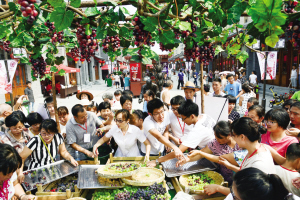 天津市北辰区双街葡萄文化节开幕 线上线下全面开卖