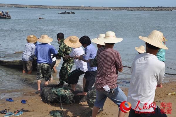 海南海口秀英区干部深入农村帮救 农民减少损失