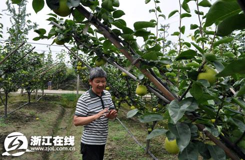 施泽彬研究员在讲解修枝技巧