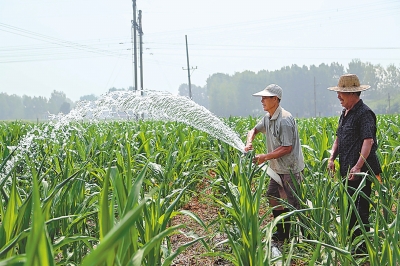 ����ʡ�����������ֽϺ�