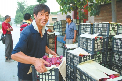 ����������ɫ��ֲ��˶��