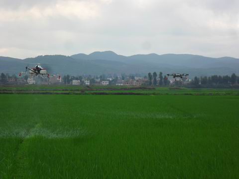 ͨȫʡũֲ˷ɻչͳͳι