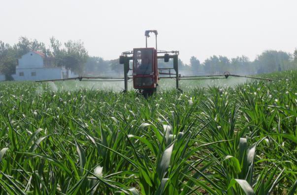 �����Ϫ���ٻ���ũ��վ����ʵ���ø�����ֲ�󻧵��Ĺ�ָ��