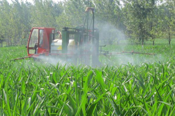 �����Ϫ���ٻ���ũ��վ����ʵ���ø�����ֲ�󻧵��Ĺ�ָ��3