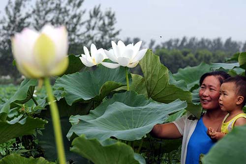 ɽ��۰�ǡ�����������������