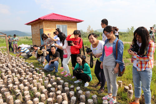 媒体聚集木耳养殖地。