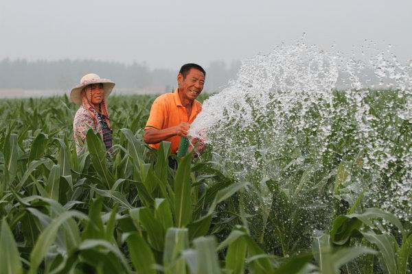 �����Ϫ���幵�򿹺����ʴ���׳