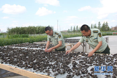 ����������߼�վ����ɫľ����ϲ�����2