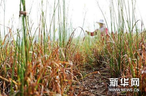 723գزشڼĻƻֲѰҺͲժƻ