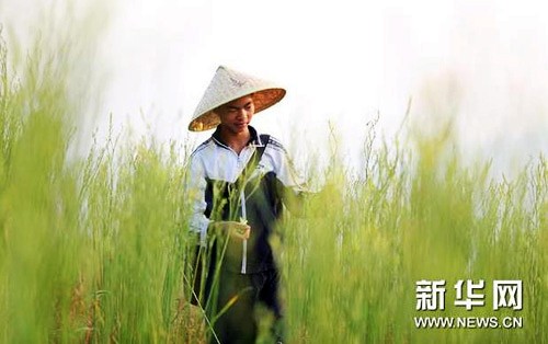 723գزشĴѾĻƻ˸ŬѰҺͲժƻˡ