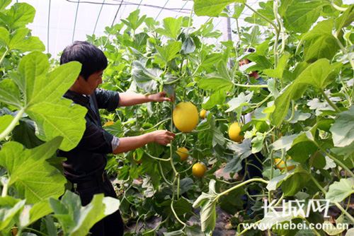 �Ż���ҵ�ṹ �ӱ���ǿ��ɫũҵ���ԡ��ۼ�ЧӦ��