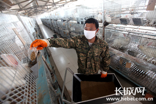 ����̡����ֳ���ء�