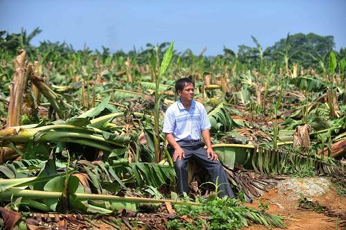 724գ¡سдֲ󻧻ڱ̨紵㽶ֲ380Ķ㽶350Ķգʧ