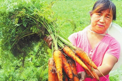 35�����ܲ������ɽ�������ũ