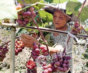 �������������� �����ɽ������ֲ��������