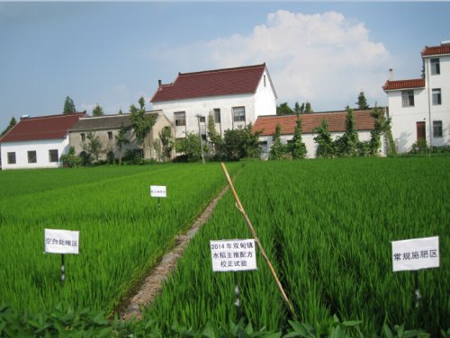 ����ʡ�綫������վ��֯ר�ҿ���������������ʾ��