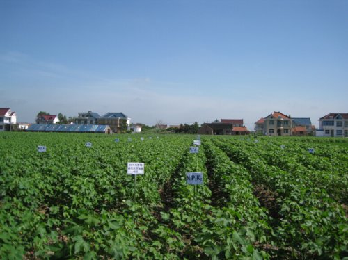 ����ʡ�綫������վ��֯ר�ҿ���������������ʾ��2