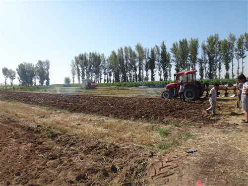 ���ɹ���ԭ������ֹ���ȫ��չ��