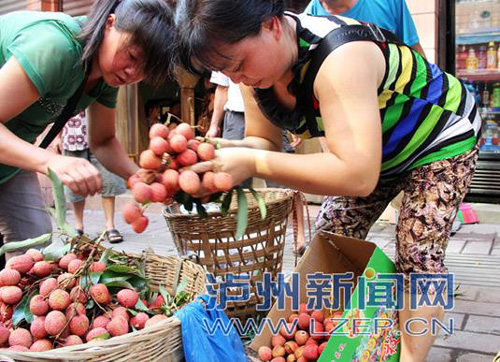 四川合江荔枝上市后热卖 远销全国各地