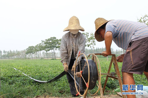 7��28�գ�����ʡ����������ذ�ׯ��ũ���ڻ�������׼����ˮ��