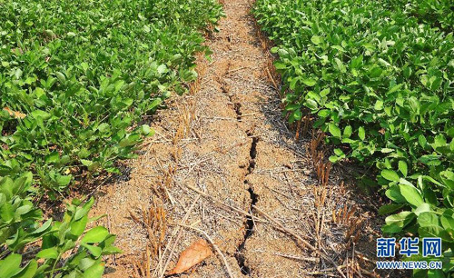 ����ʡ�������������໪���ׯ��ũ���ܺ���Ӱ�����ؿ��ѣ�7��27���㣩��