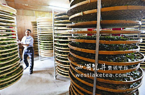 �����������ְ�Ϫ������ ��ҶԶ�������г�