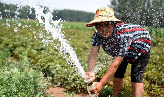 ���գ������