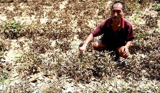 ���գ������2