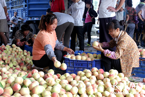 �ӱ�������������Ʒ��½������ �����糱��������