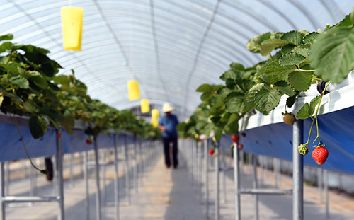 7��26����������������ݮ���