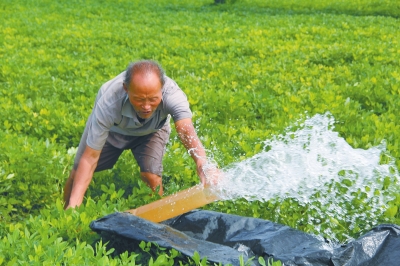 ���ϸ��ػ�����ȡ��ʩӦ�Ըɺ� ��֯�����Ծ�