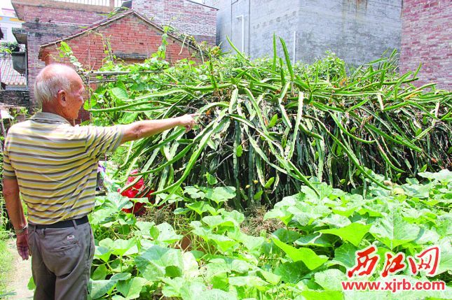 㶫Ҫ򣺽нԶġ֮硱