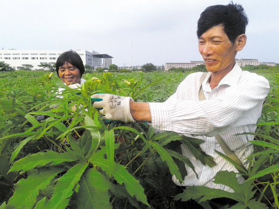 �㽭̨�ݣ������ˡ�������ɰ�����ʳ�³�