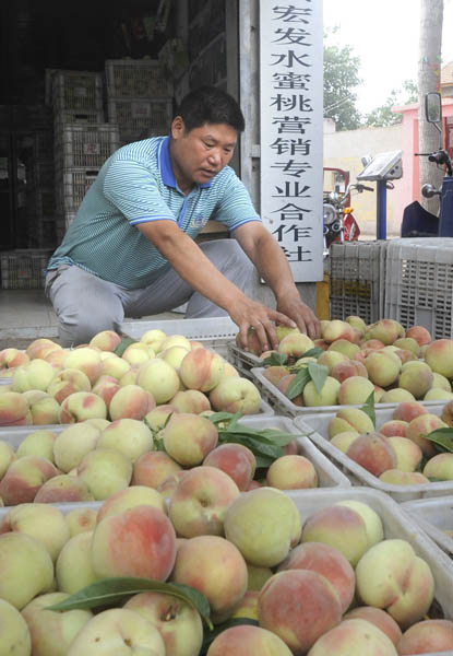 ����ʡ�����м�������������