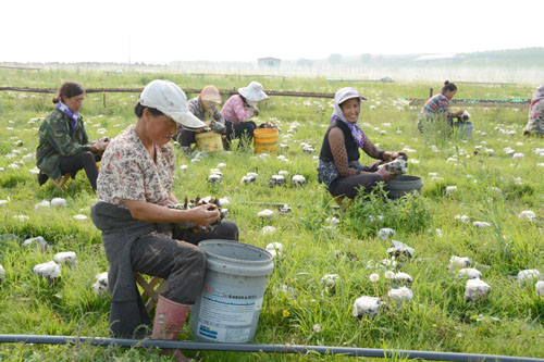 ���ɹ������Ͳ�ԭ�����Ŷ�䡰��ĵ����