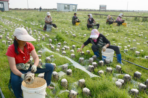 ���ɹ������Ͳ�ԭ�����Ŷ�䡰��ĵ����2