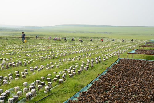 ���ɹ������Ͳ�ԭ�����Ŷ�䡰��ĵ����3